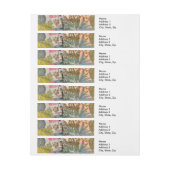 bloemen Hula Colorful Hawaiian Tropical Adreslabel Wikkel (Vel)