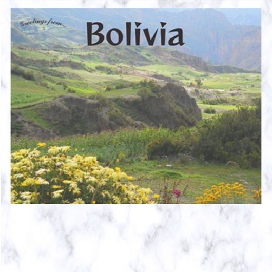 Bloemen in Bloom Valley of the Souls Bolivia Briefkaart