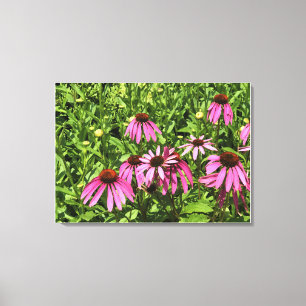 Bloemen in Chateau Morrisette Winery, Floyd, VA Canvas Afdruk