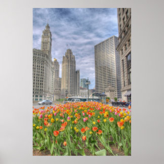 Bloemen in Chicago Poster