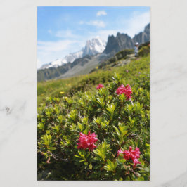 Bloemen in de Alpen - Mooi!