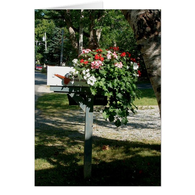 Bloemen in de e-mail (Voorkant)