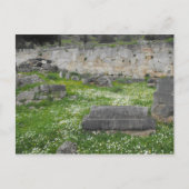 Bloemen in de ruïnes van Delphi Briefkaart (Voorkant)