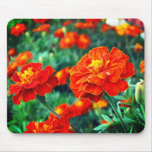 Bloemen in de tuin muismat