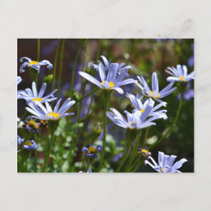 Bloemen in de zon briefkaart