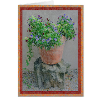 Bloemen in een tera-cotta pot op rots