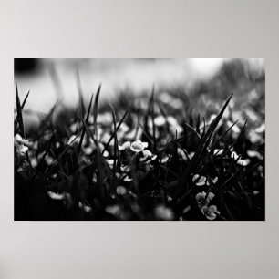 Bloemen in het veld in de lente poster