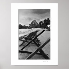 BLOEMEN IN HET WINDPoster Poster