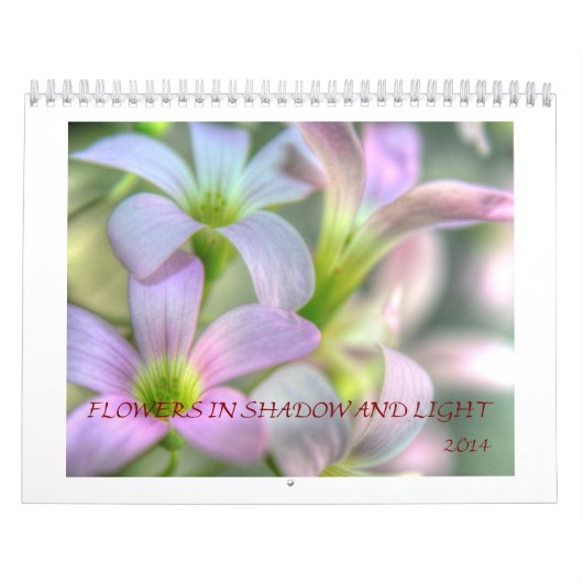 Bloemen in schaduwen en licht kalender (Hoes)