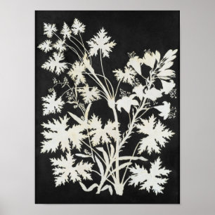 Bloemen in Silhouette Poster