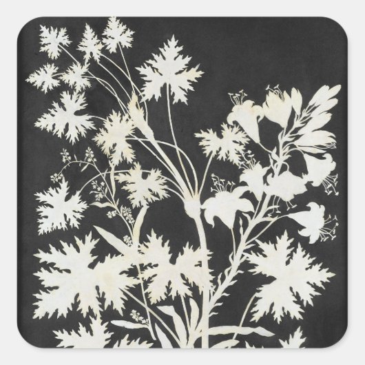 Bloemen in Silhouette Vierkante Sticker (Voorkant)