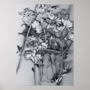 Bloemen in zwart en wit poster