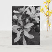 Bloemen in zwart-wit kaart (Gele Bloem)