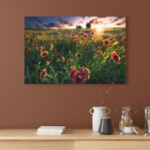 Bloemen   Indian Blanket Wildflower Texas Canvas Afdruk