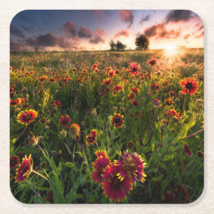Bloemen Indian Blanket Wildflower Texas Vierkante Kartonnen Onderzetter