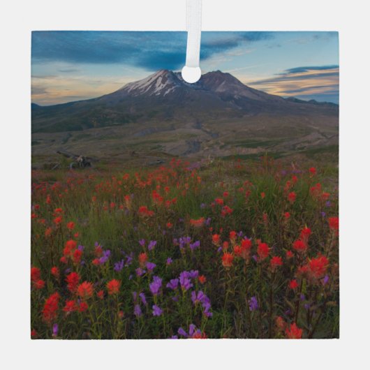 Bloemen | Indische penseel en penseel Glas Ornament (Achterkant)