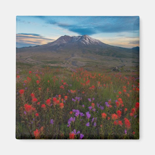 Bloemen | Indische penseel en penseel Magneet (Voorkant)