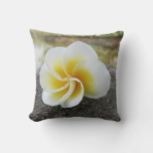 Bloemen, insecten, japans, azian, chinees, oud +fa