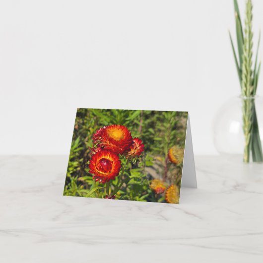 Bloemen Kaart (Voorkant)