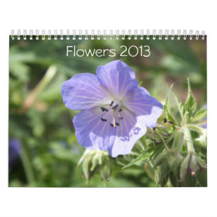 BLOEMEN KALENDER 2013 (16 MAANDEN)