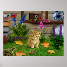 bloemen kat van kikker van afbeelding poster natur