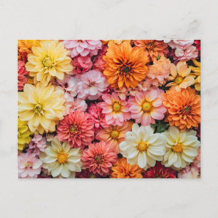 Bloemen Kleurrijk Bloempatroon Mooi Briefkaart