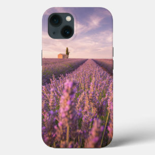 Bloemen   Lavender Southern France iPhone 13 Hoesje
