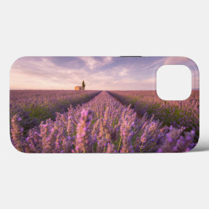 Bloemen   Lavender Southern France iPhone 13 Hoesje