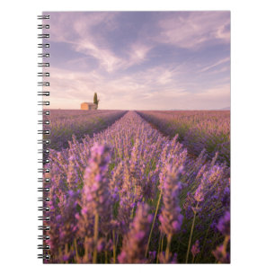 Bloemen   Lavender Southern France Notitieboek