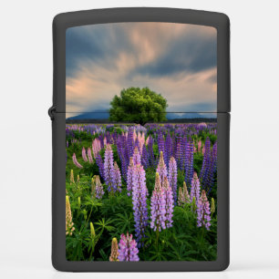Bloemen   Lupine Field in Nieuw-Zeeland