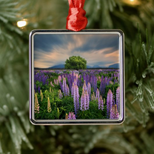 Bloemen | Lupine Field in Nieuw-Zeeland Metalen Ornament (Boom)