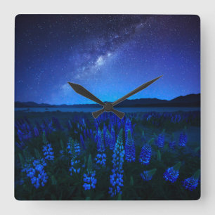 Bloemen Lupines bloeien bij het Nacht-meer van T Vierkante Klok