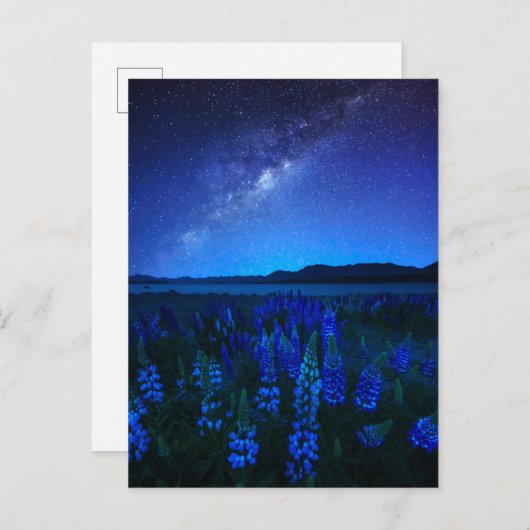 Bloemen | Lupines bloeien bij het Night Lake Tekap Briefkaart (Voorkant / Achterkant)