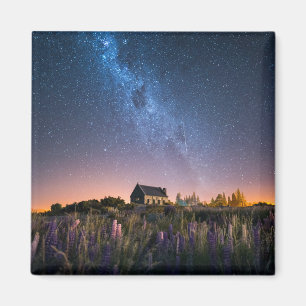 Bloemen Lupines Blooming Lake Tekapo Nieuw-Zeela Magneet