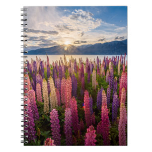 Bloemen   Lupines Nieuw-Zeeland Notitieboek