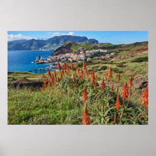Bloemen   Madeira Poster