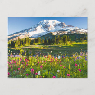 Bloemen   Mt. Rainier Wildbloemen Briefkaart