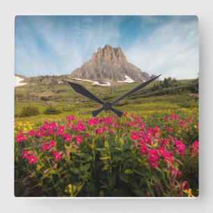 Bloemen   Nationaal park Glacier van Montana Vierkante Klok
