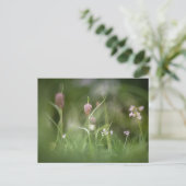 Bloemen Natuur Foto Briefkaart (Staand voorkant)