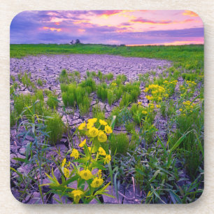 Bloemen North Dakota Red River Valley Bier Onderzetter