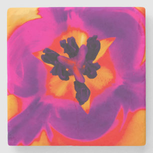 Bloemen onderzetter tulp