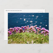 Bloemen op de Cliffs of Moher Briefkaart (Voorkant / Achterkant)