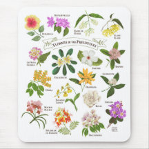Bloemen op de Filipijnen