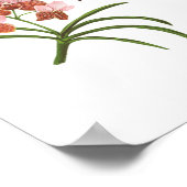 Bloemen op de Filipijnen Poster (Hoek)