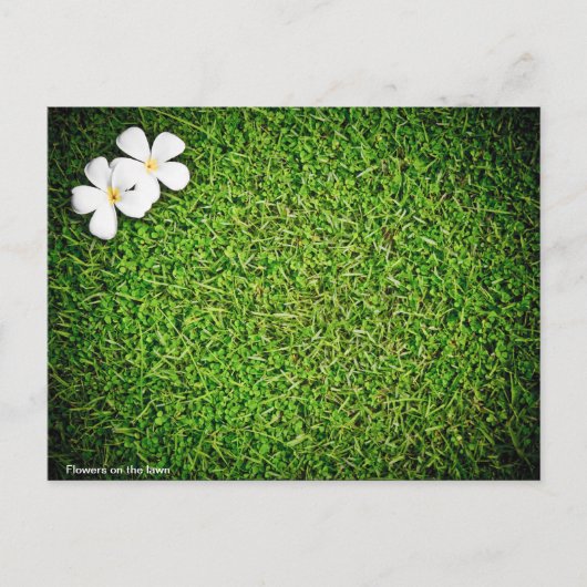 Bloemen op het gazon briefkaart (Voorkant)