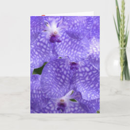 Bloemen Orchideeën Vrede Liefde Bestemming Bedankkaart