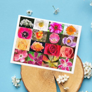 Bloemen, overal Bloemen Ansichtkaart Briefkaart