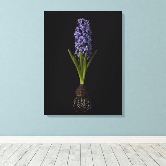 Bloemen | Paarse Hyacinth Bulb Canvas Afdruk (Insitu (Houten vloer))