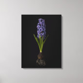 Bloemen | Paarse Hyacinth Bulb Canvas Afdruk (Voorkant)