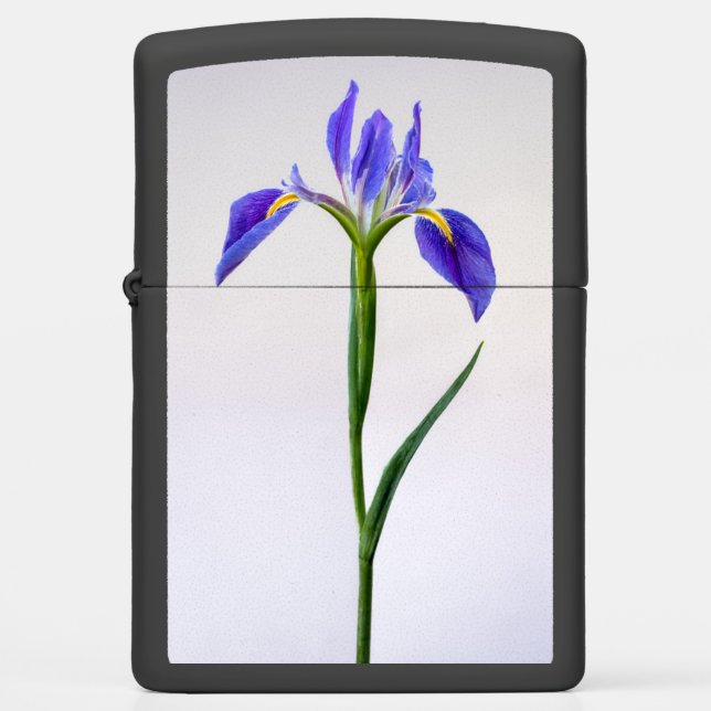 Bloemen | Paarse Iris-ventilator (Voorkant)